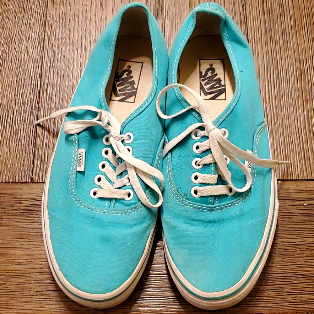 Vans authentic skate shoes